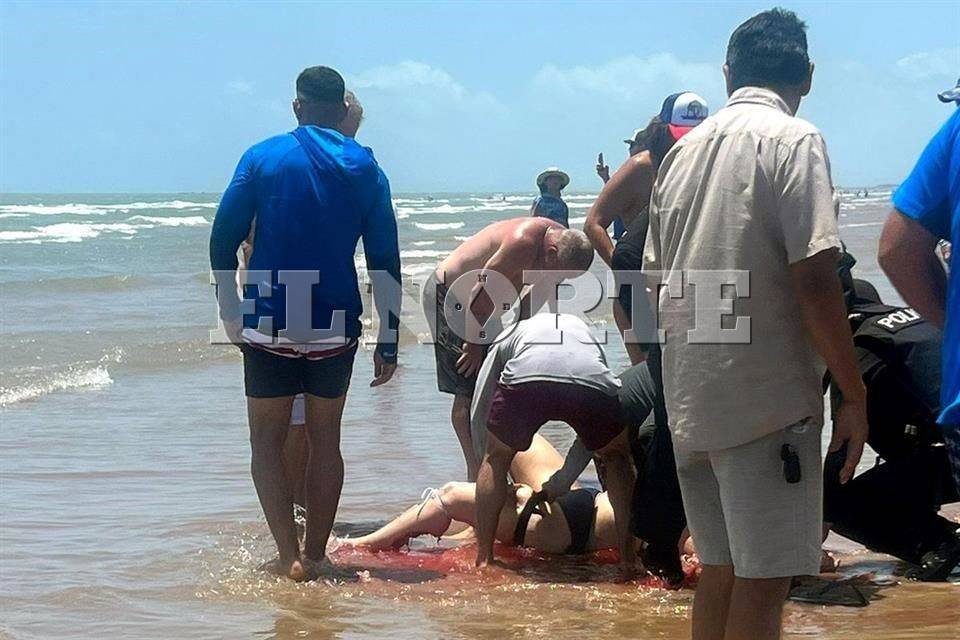 Ataca A 4 Tiburón En La Isla Del Padre 4267