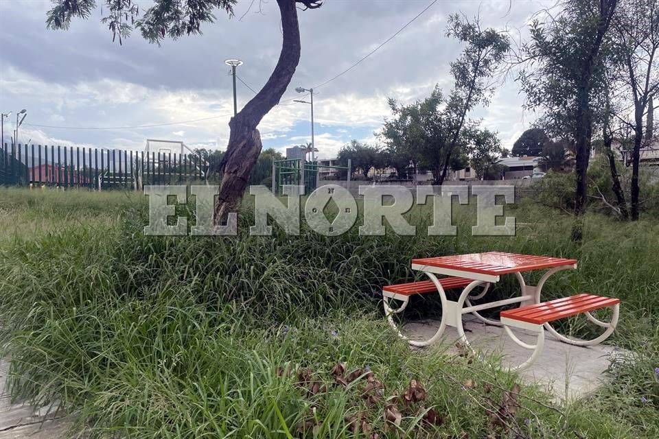 Intensificarán podas en 'selvas urbanas'